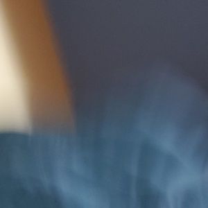 Meet your Posher, Cassidy